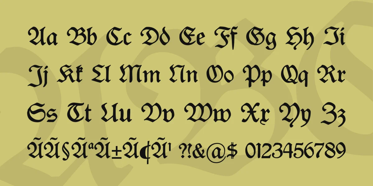 Rediviva Font Family preview 4