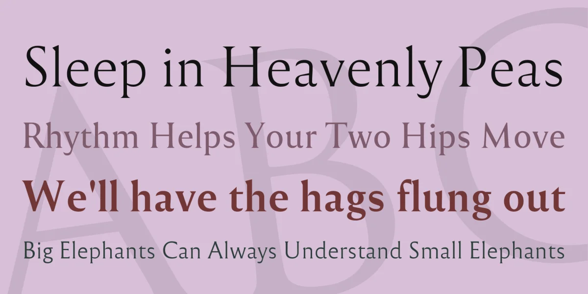 Reforma Font Family preview 2