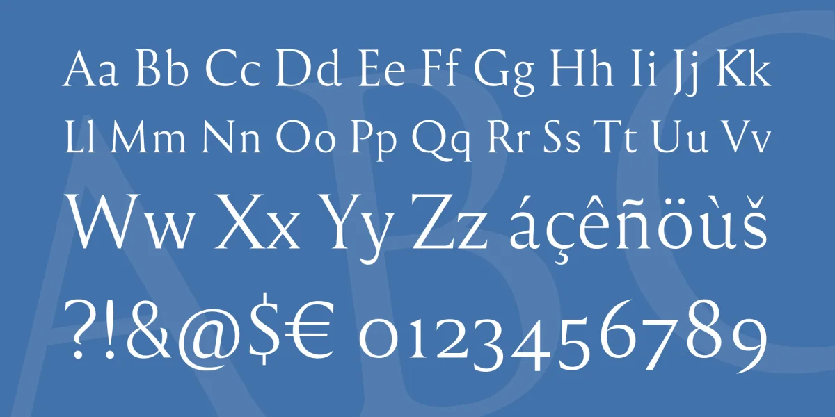 Reforma Font Family preview 4