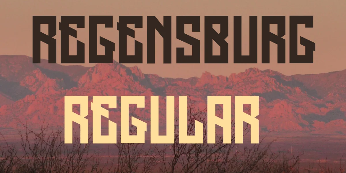 Regensburg Font Family preview 4