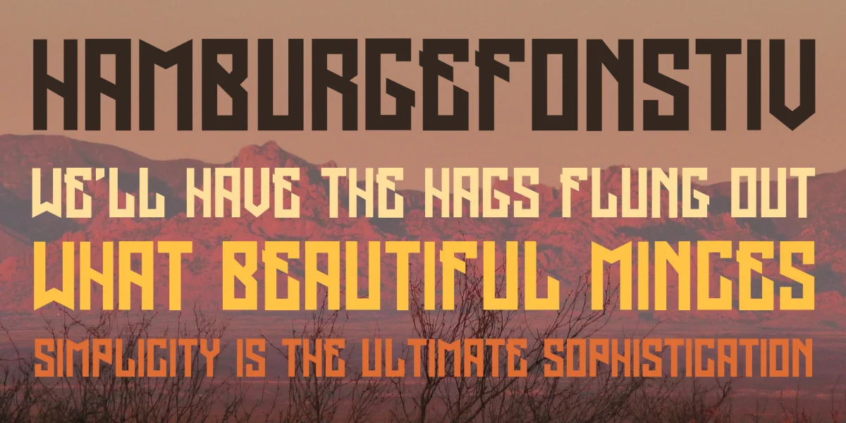 Regensburg Font Family preview 7