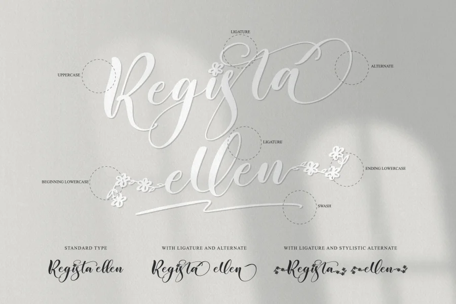 Regista Font Family preview 2