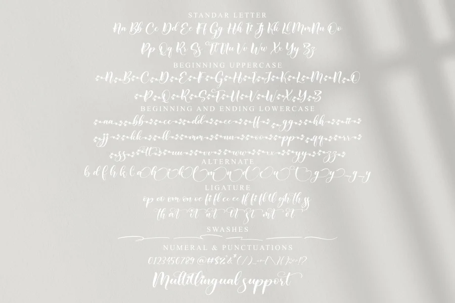 Regista Font Family preview 9