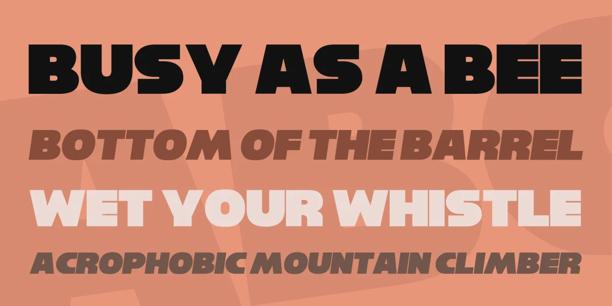 Reisenberg Font Family preview 2