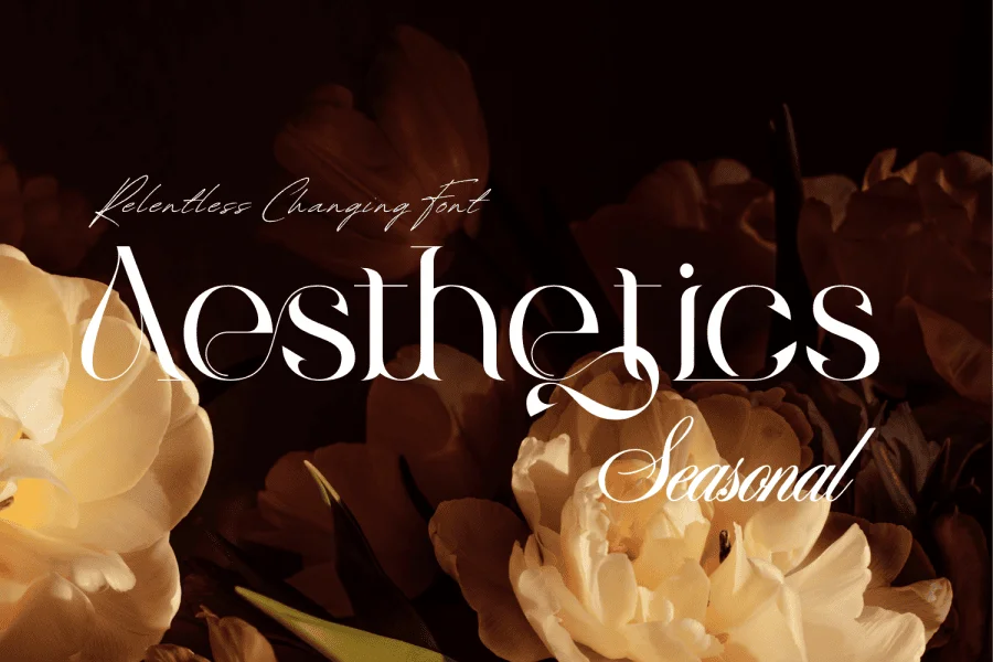 Relentless Changing Demo Font preview 5