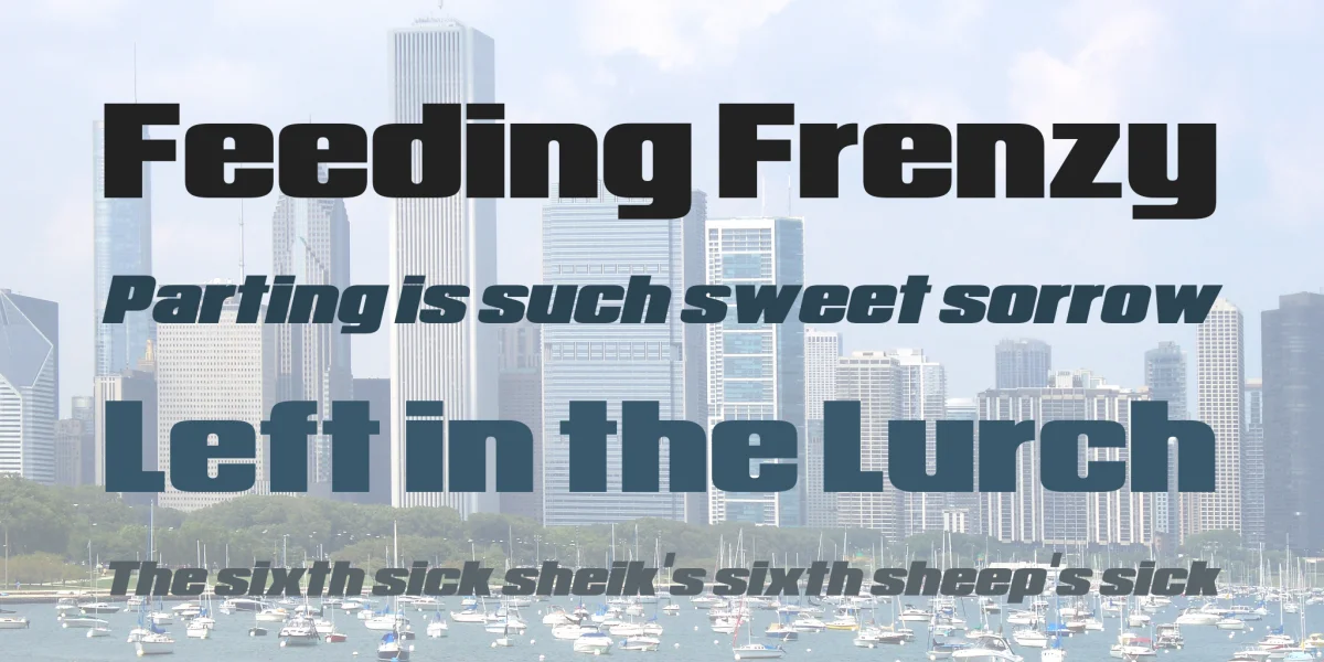 Republica Minor Font Family preview 2