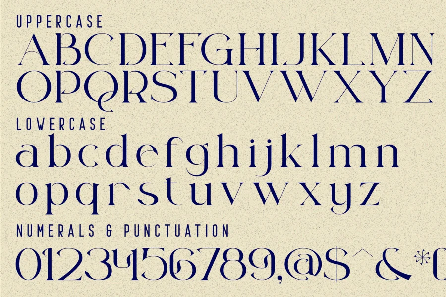 Resilient Shifting Demo Font preview 8