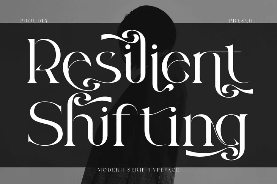 Resilient Shifting Demo Font preview 9