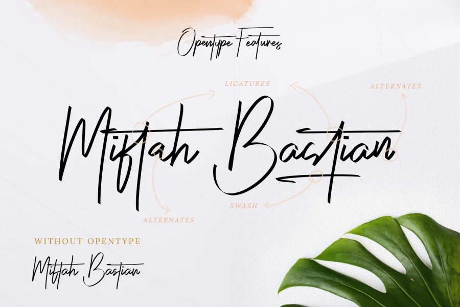 Risotto Demo Font preview 2