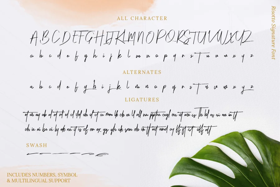 Risotto Demo Font preview 9