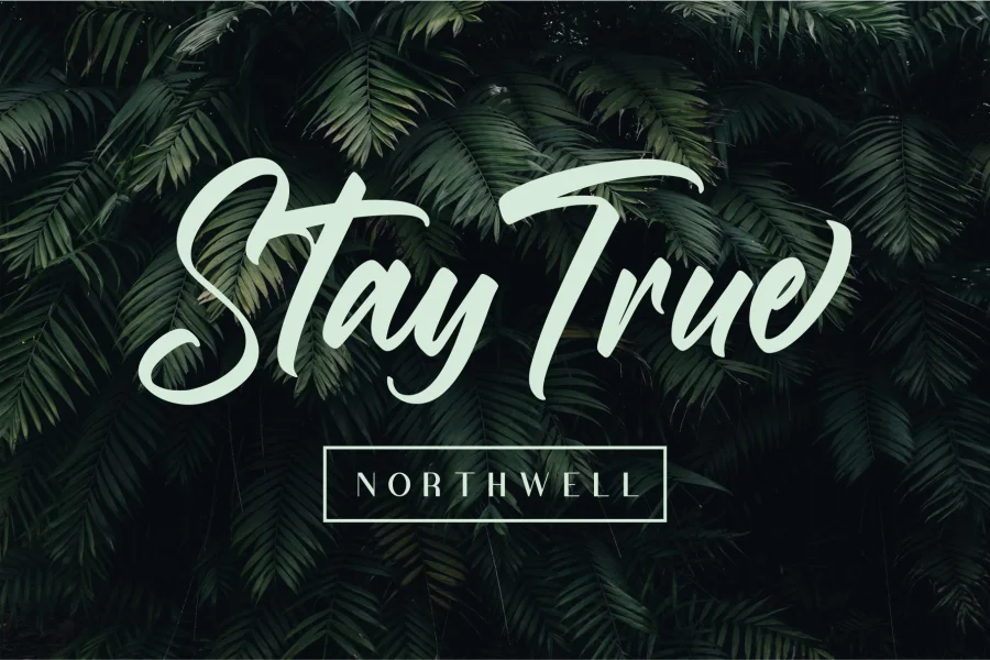 Roasting Script Font preview 4