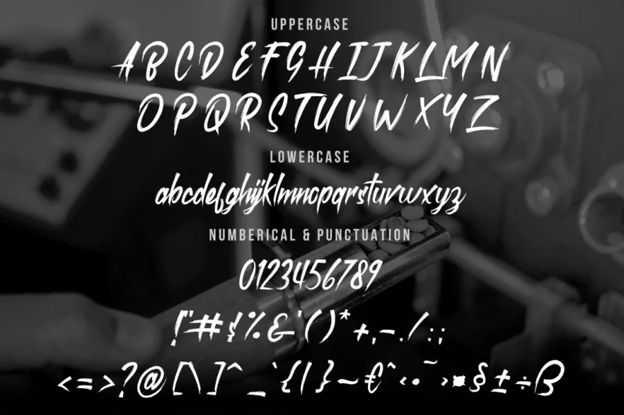 roastink demo Font preview 12