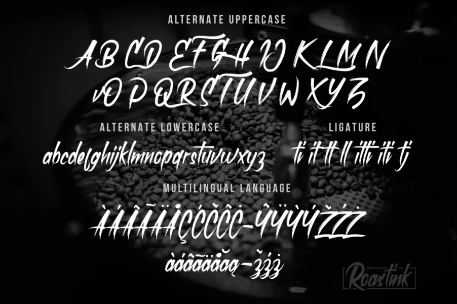 roastink demo Font preview 13