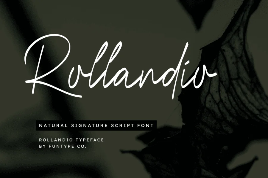 Rollandio Font