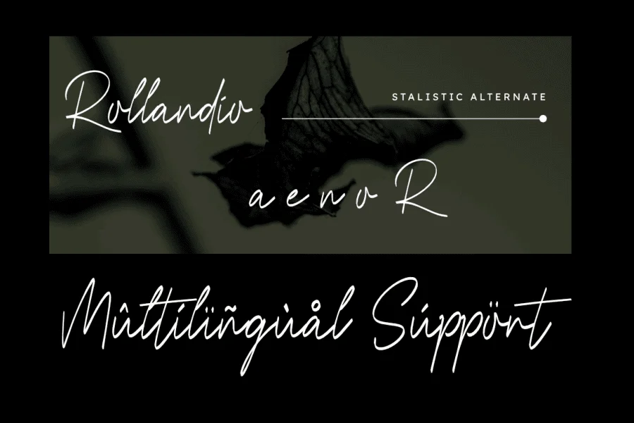 Rollandio Font preview 4