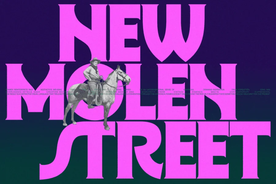 Romien Demo Font Family preview 3