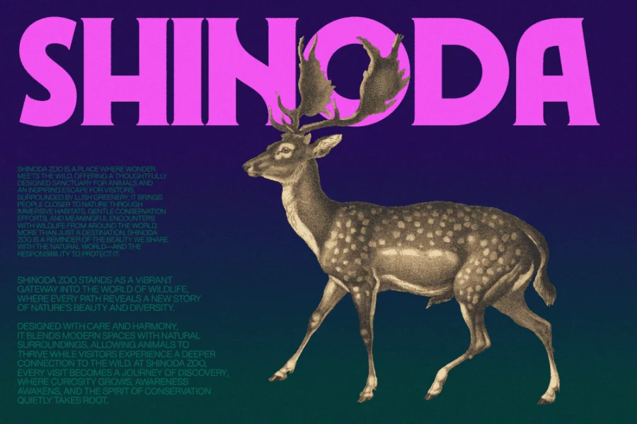 Romien Demo Font Family preview 8