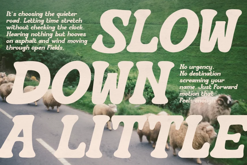 Roodey Quillen Font preview 4