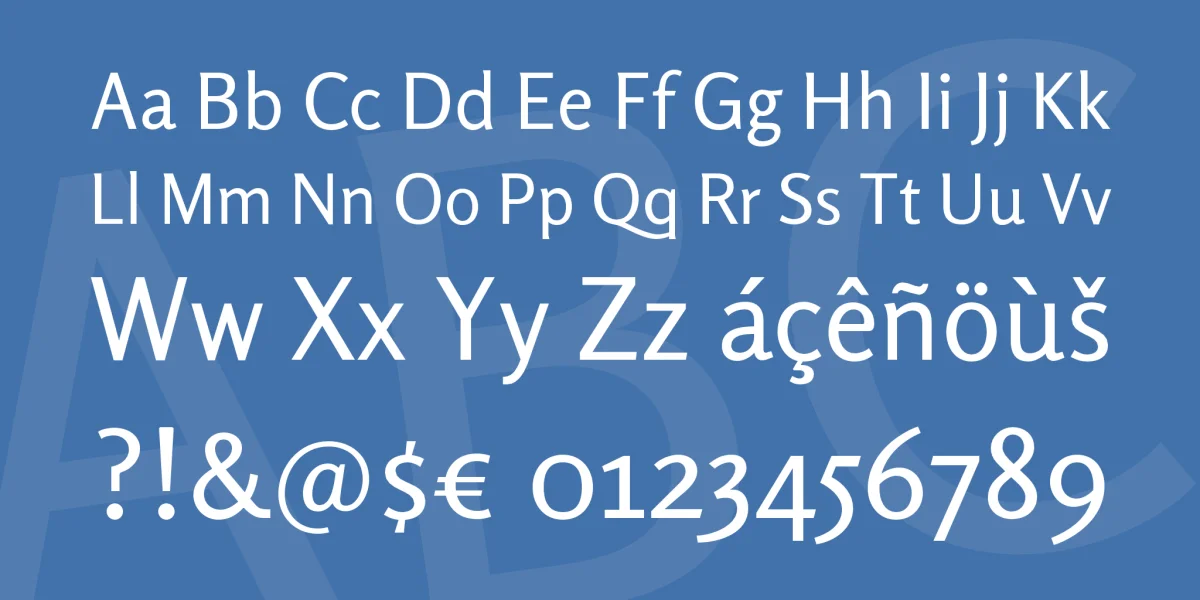 Rosario Font Family preview 4