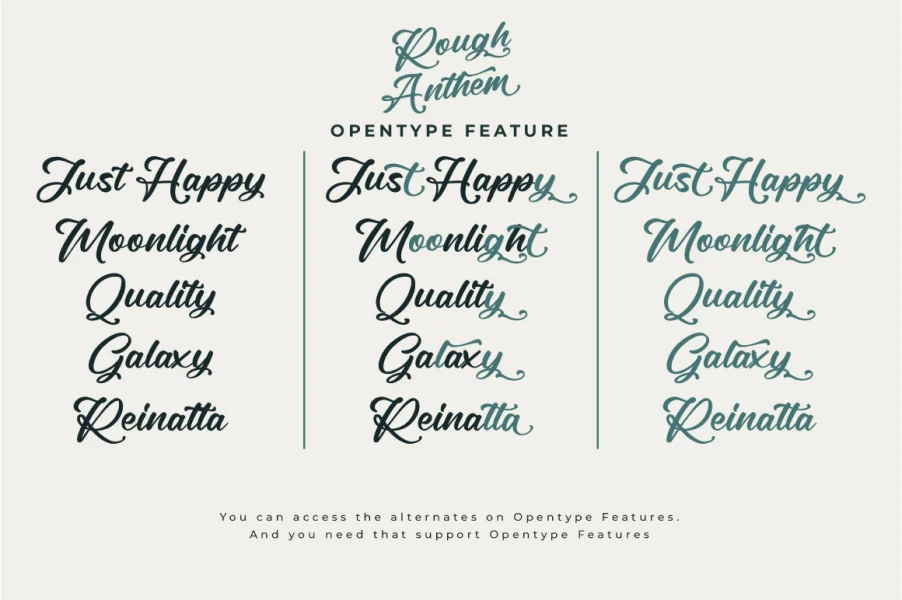 Rough Anthem Font Family preview 3