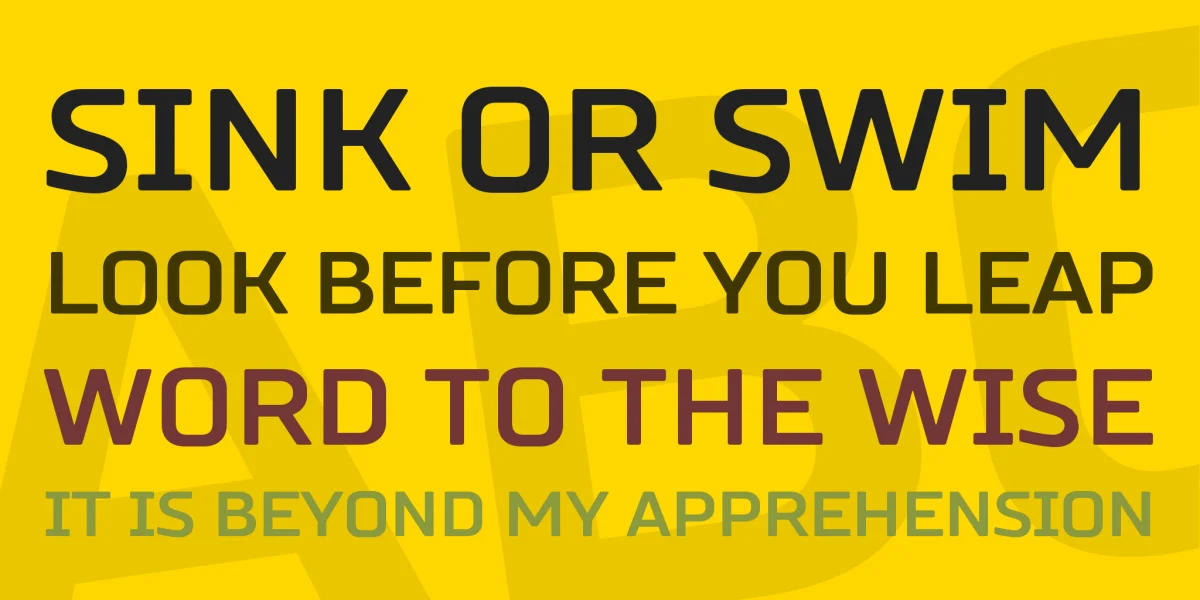Russo Sans Bold Font preview 2