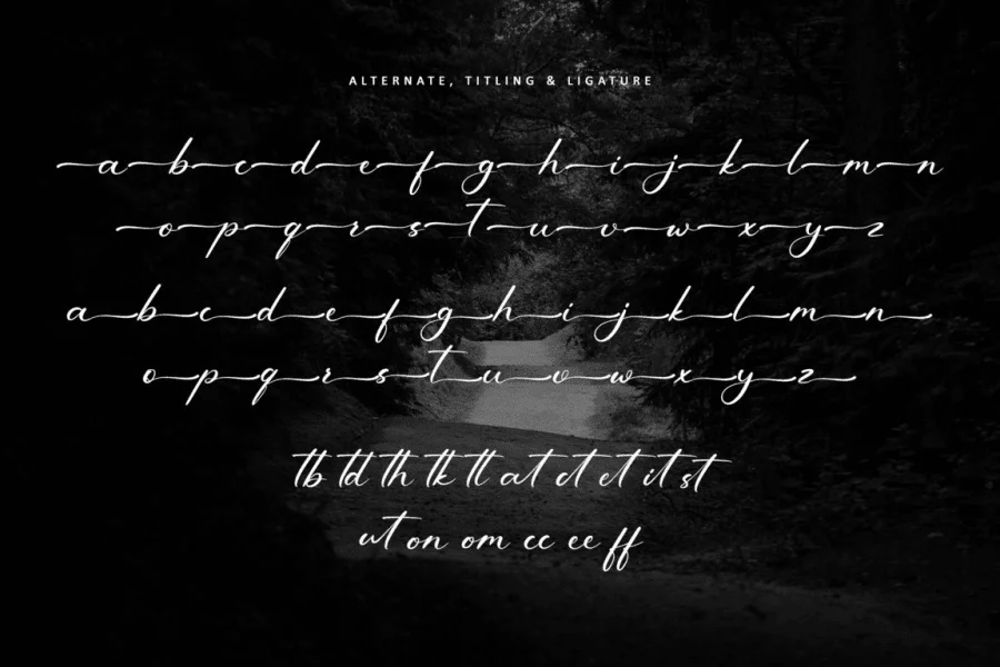 Rustic Roadway - Personal use Font preview 10