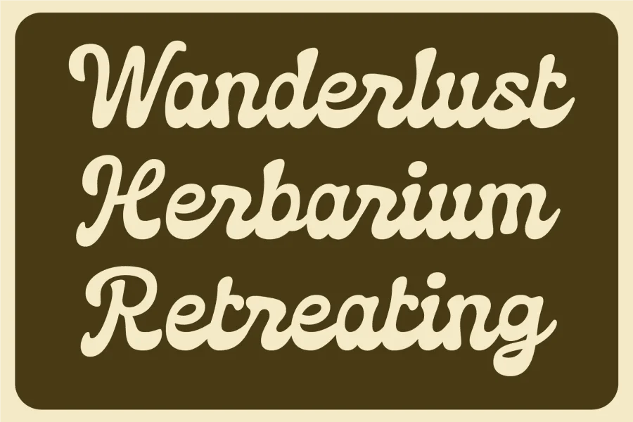 SAE Soulvera Font preview 3