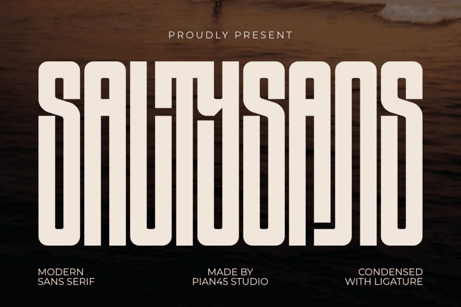 Salty Sans Font