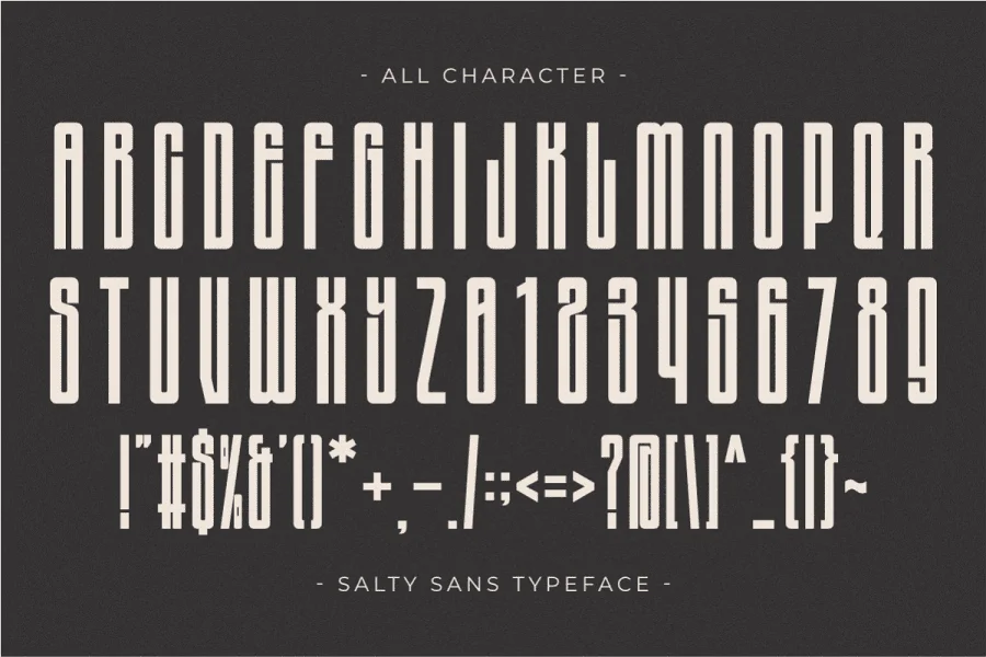 Salty Sans Font preview 7
