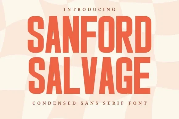 Sanford Salvage Font preview 2