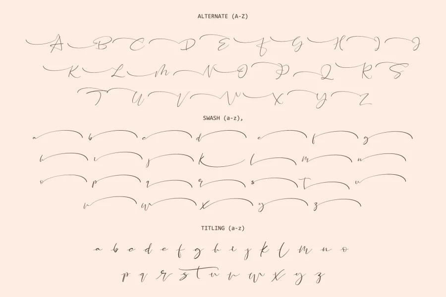 Santeria Signature Font preview 12