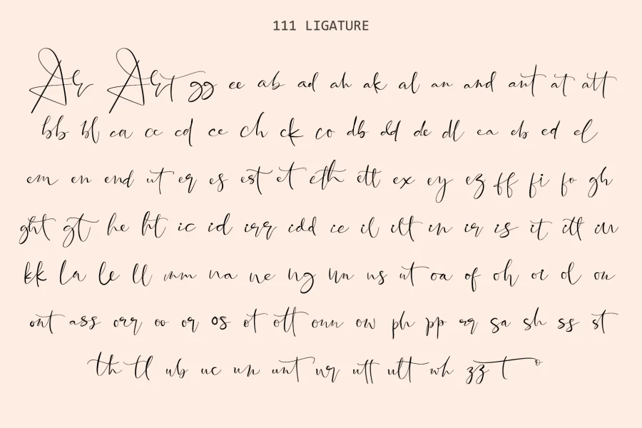 Santeria Signature Font preview 13