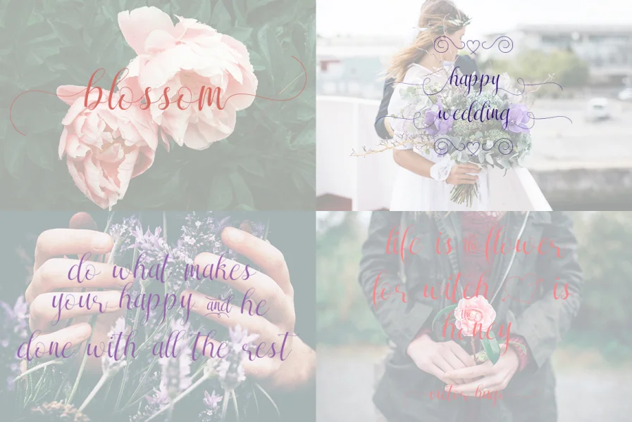 Sareeka Font preview 5