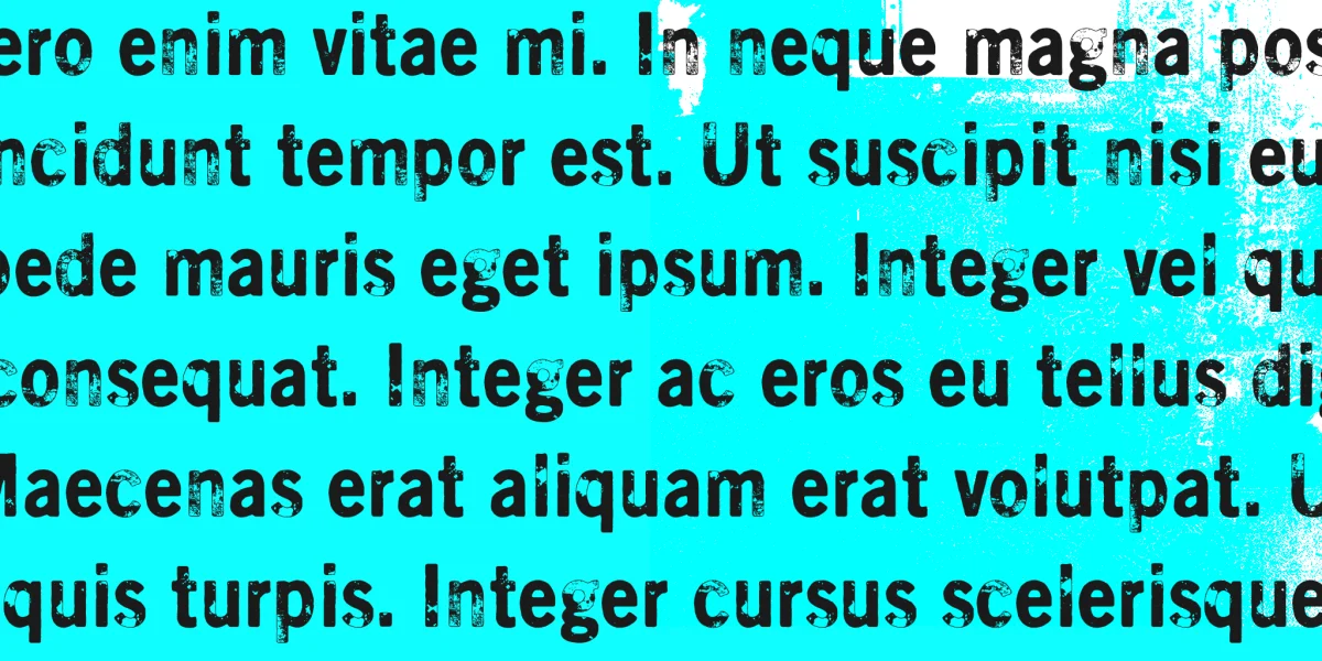 Scratch X Font Family preview 5