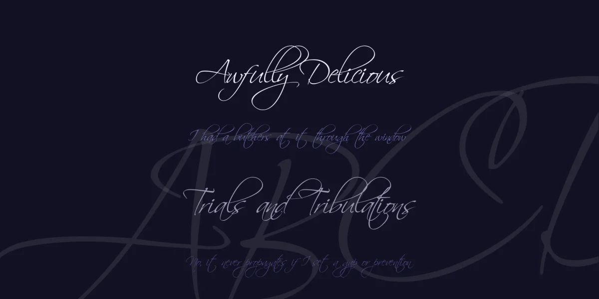 Scriptina Font Family preview 3