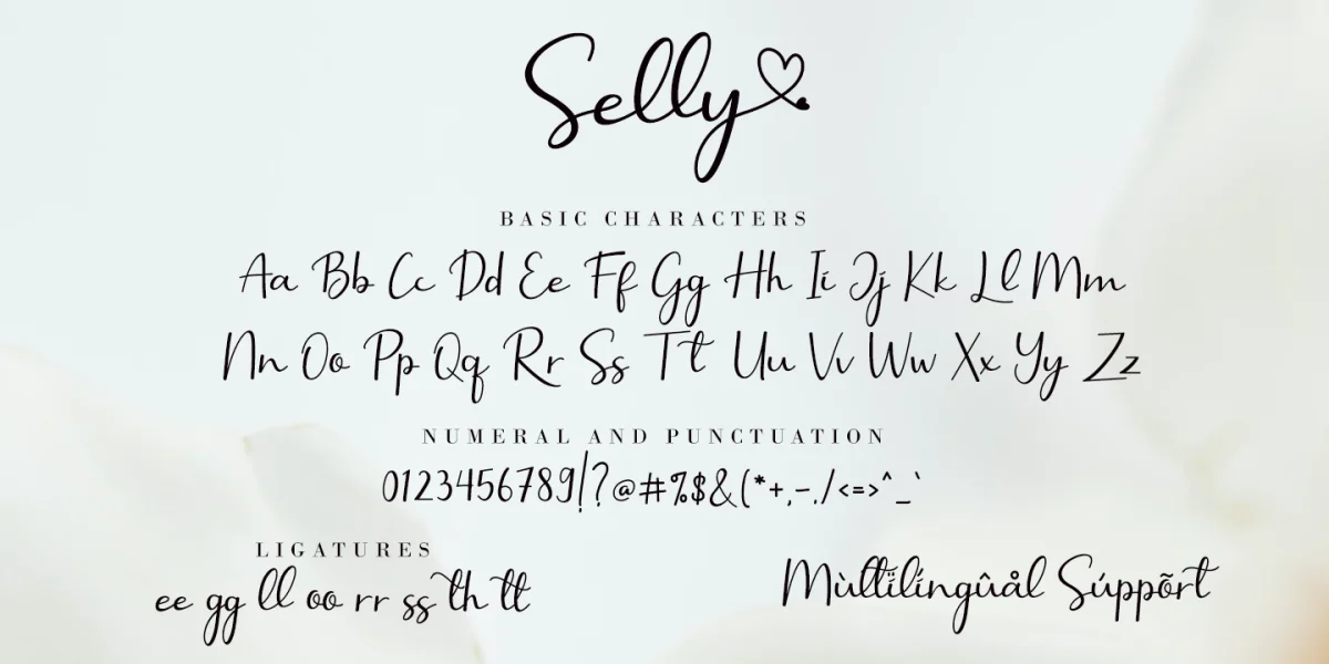 Selly Calligraphy Font preview 10