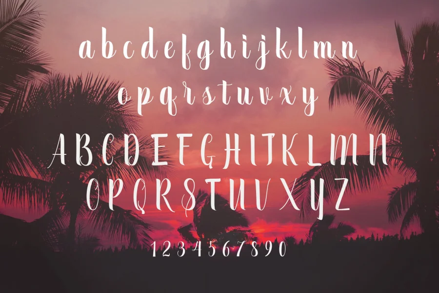 September Script Font preview 4