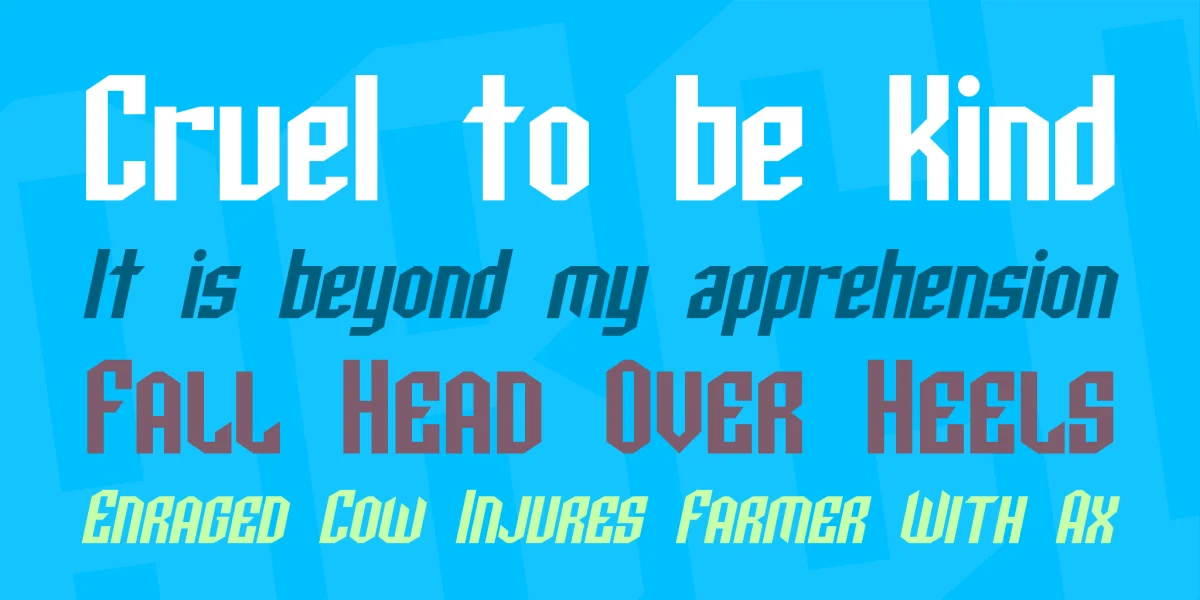 SF Archery Black Font Family preview 3