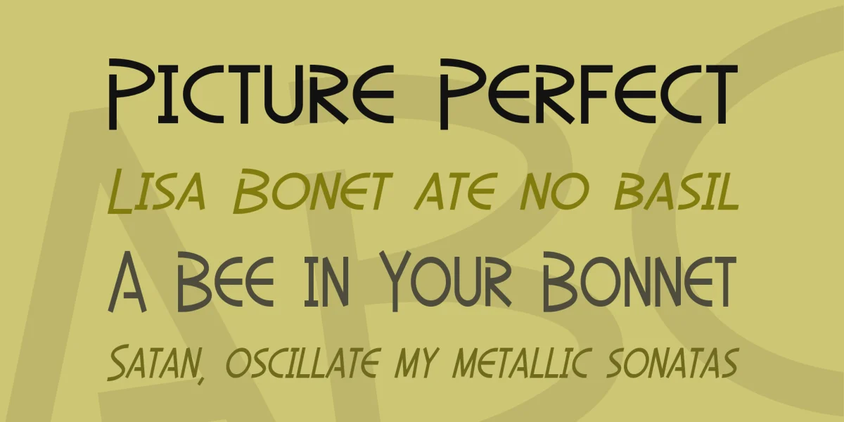 SF Diego Sans Font Family preview 2