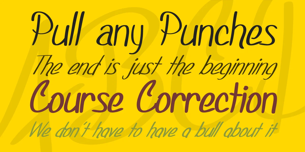 SF Foxboro Script Font Family preview 3