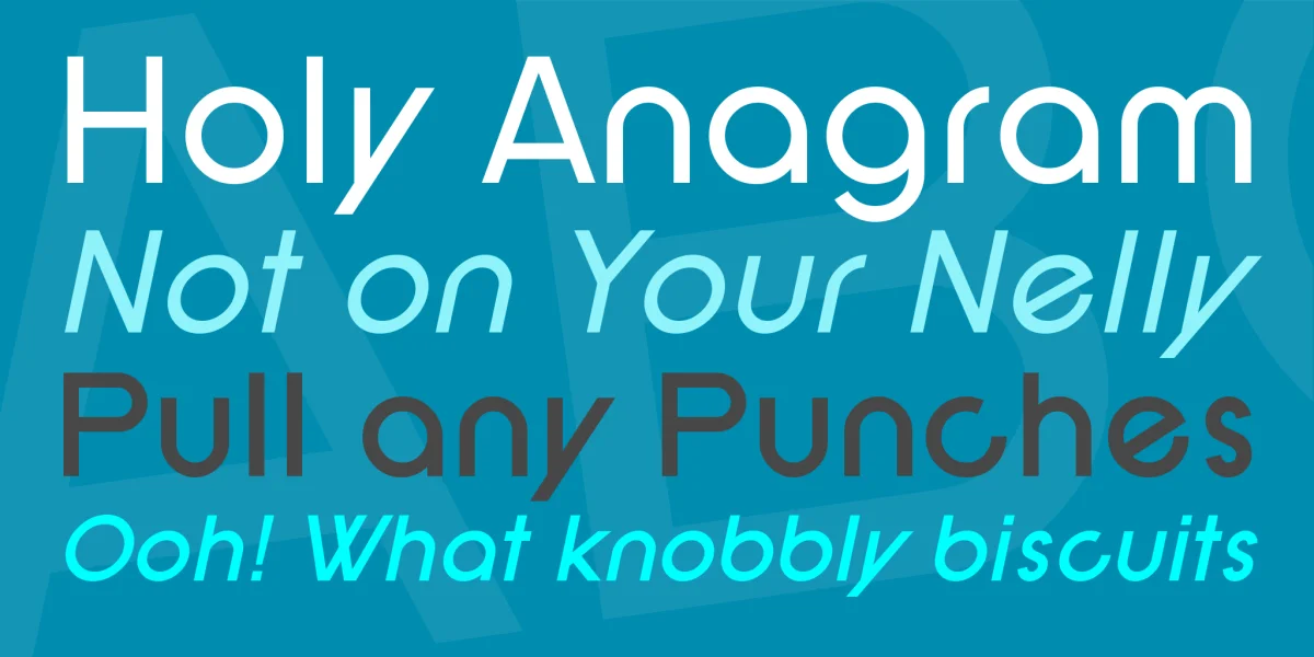 SF New Republic Font Family preview 3