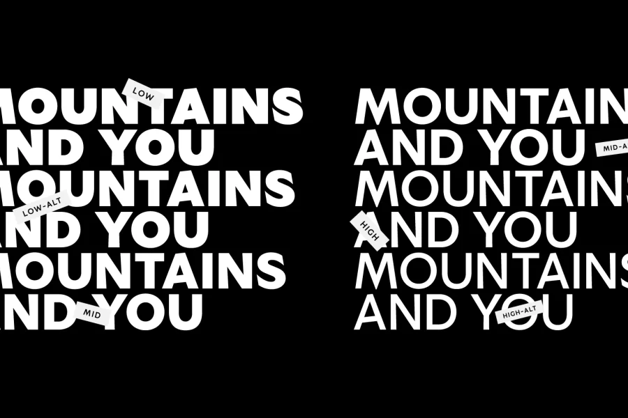 SG Alternative Font Family preview 2