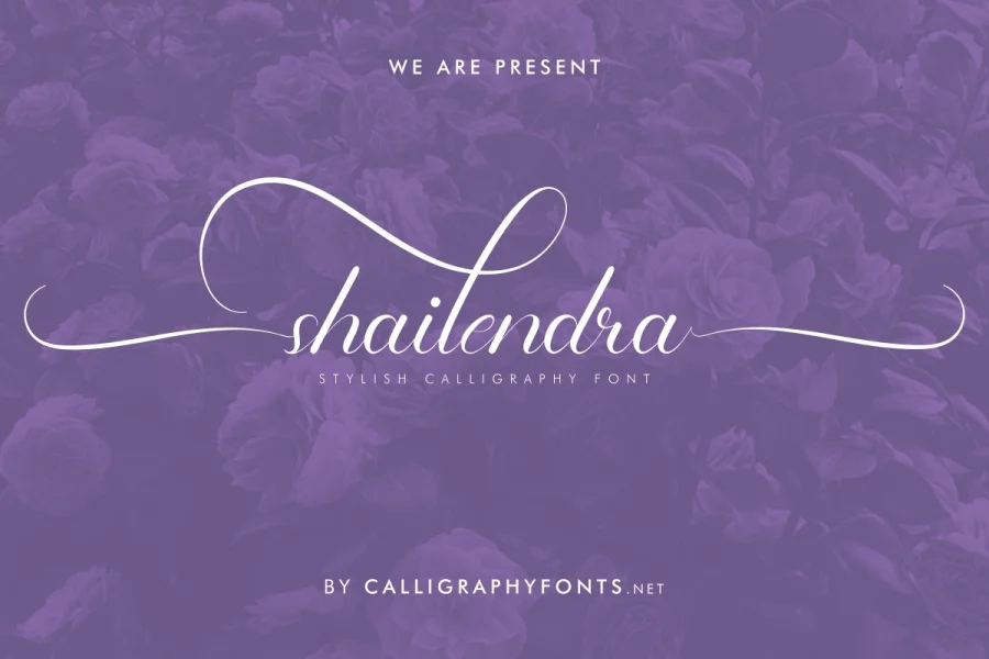 Shailendra Demo Font preview 15