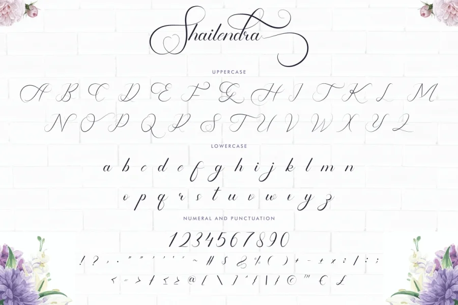 Shailendra Demo Font preview 18