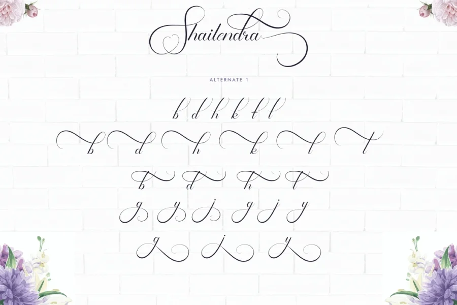 Shailendra Demo Font preview 20