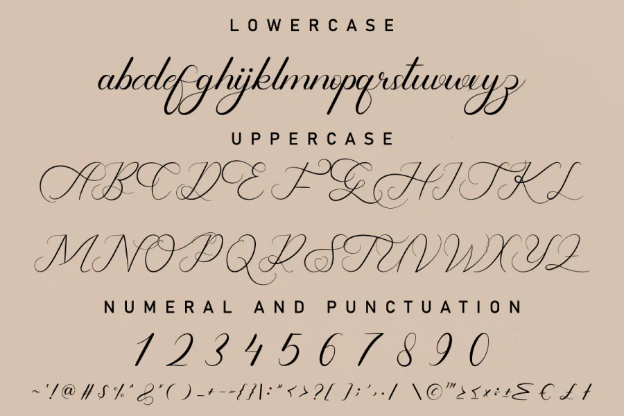 Shailendra Demo Font preview 3