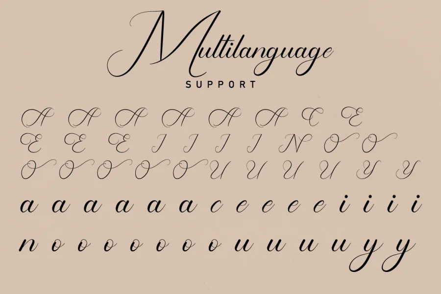Shailendra Demo Font preview 4