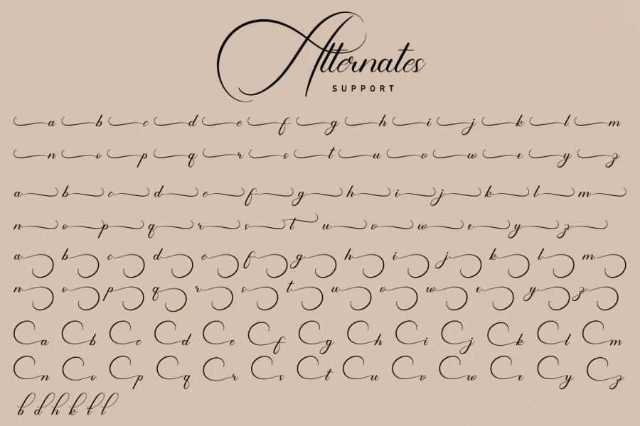 Shailendra Demo Font preview 5