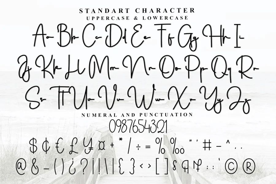 Shine Together Font preview 7