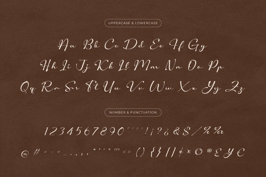 Shopie Script DEMO Font preview 5